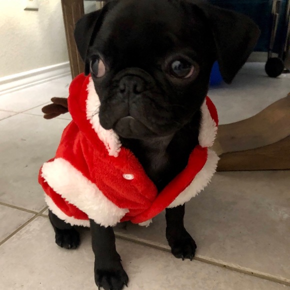 Meet your Posher, Jessica - Picture 2 of 2